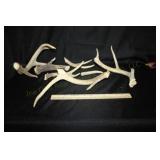 Deer Antlers