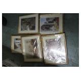 Framed Prints