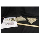Fossils