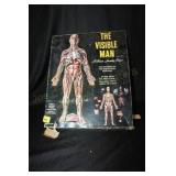 The Visible Man