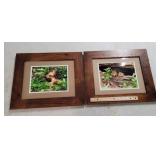 Signed & Dated Deer Picture & Signed & Dated