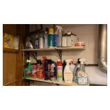 Cleaning Supplies & Bug Killers