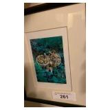 Morrel Photo by.  L Bollenbach Signed