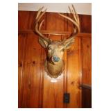 Vintage Deer Mount
