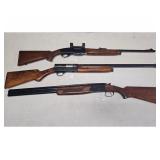 Firearms Auction