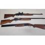 Firearms Auction