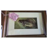 Small Framed Fish, see photo