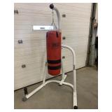 Everlast Punching Bag Boxing Set