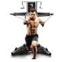 COMMERCIAL QUALITY FITNESS EQUIPMENT AUCTION | ONLINE