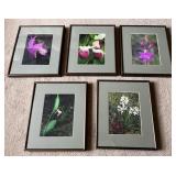 Five Framed Floral Photographs