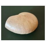 Chambered Nautilus Fossil Shell