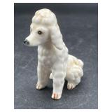 Miniature White Poodle Sitting Bone China