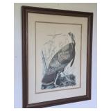 Vintage Print, Male Turkey, Framed and Matted,