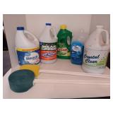 Various Cleaners and Two Scrub Brushes