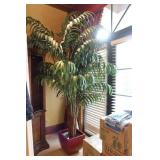 Large Decorative Areca Palm & Pot