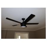 Modern Black Fan 48"