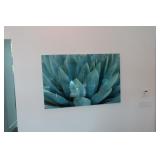 Decorative Agave