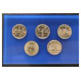 US Coins 1999 Statehood Quarters Set, in US Mint P