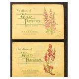 1930s Tobacco Flowers Cards Will