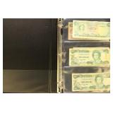 France & Italy Paper Money collection in pages nea