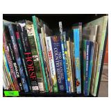 Bookshelf Filled with Assorted Books