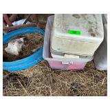 Lot of Portable Camping Toilets