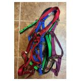 Lot of 4 Horse Halters - Assorted Colors