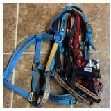 Horse Halter Lot-4