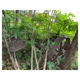 Farm Equipment: Old Mower