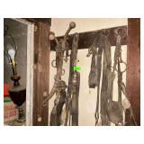 Collection of Equine Tack and Harnesses