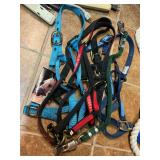 Lot of 4 Horse Halters, and trailer tie