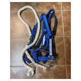 Assorted Horse Halters and Lead Rope
