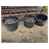 Lot of Used Horseshoes and Horse Hoof Trimming Blades