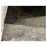 Large Quantity of Hay Bales. 1000 or more small square bales.