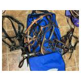 Collection of Show Harnesses and leads