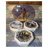 Native American Picture,  Decorative Collector Plates with Certificates of Authenticity