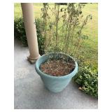 Large planter pots