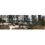 Real Estate Foreclosure Auction 19-58 7+/- Acre Waterfront Parcel, Mt. Desert Narrows 