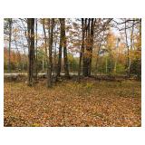 Real Estate Foreclosure Auction 19-235, 4.8+/- Acre Home Site 