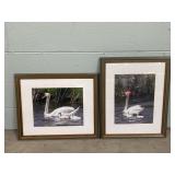 2 Framed Swan Prints