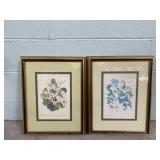 2 Framed Butterfly Prints