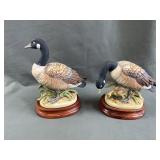 Canadian Geese by Andrea