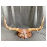 Mounted Animal Horns