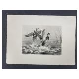 Signed Maynard Reece Print