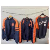Detroit Tigers Lot