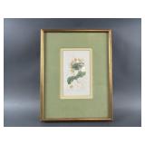 Framed Floral Print