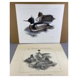 Vintage Signed & Numbered Art Print