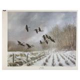 Vintage Signed & Numbered Wildlife Art Print