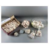 Seashells