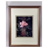 Framed/Signed/# Art Print of Pink Rose by Sue Ward